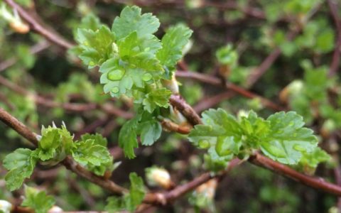 Eine Liebeserklärung an den Frühling