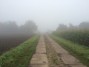 Feldweg im Herbst
