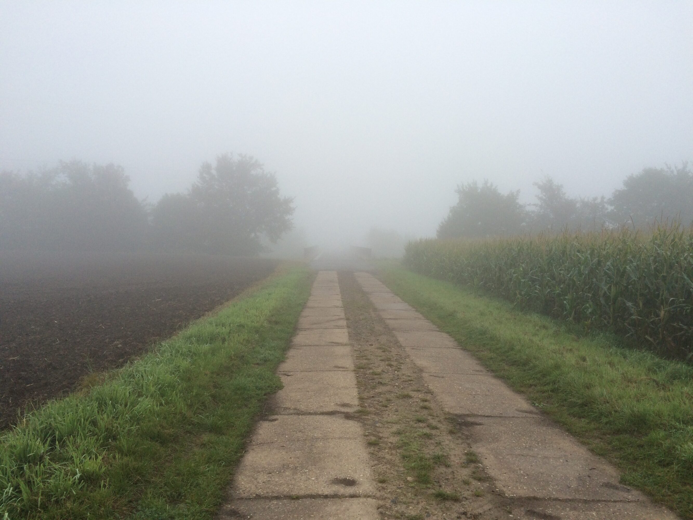 Feldweg im Herbst