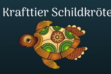 das Krafttier Schildkröte ist ein weises Tiergeistwesen, wenn du ihr folgst
