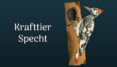Krafttier Specht