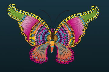 Krafttier Schmetterling: mit dem Schmetterling innere Wandlung vollziehen