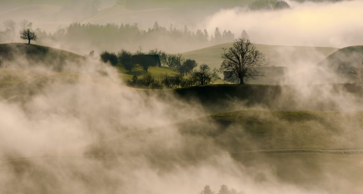 Felder im Nebel