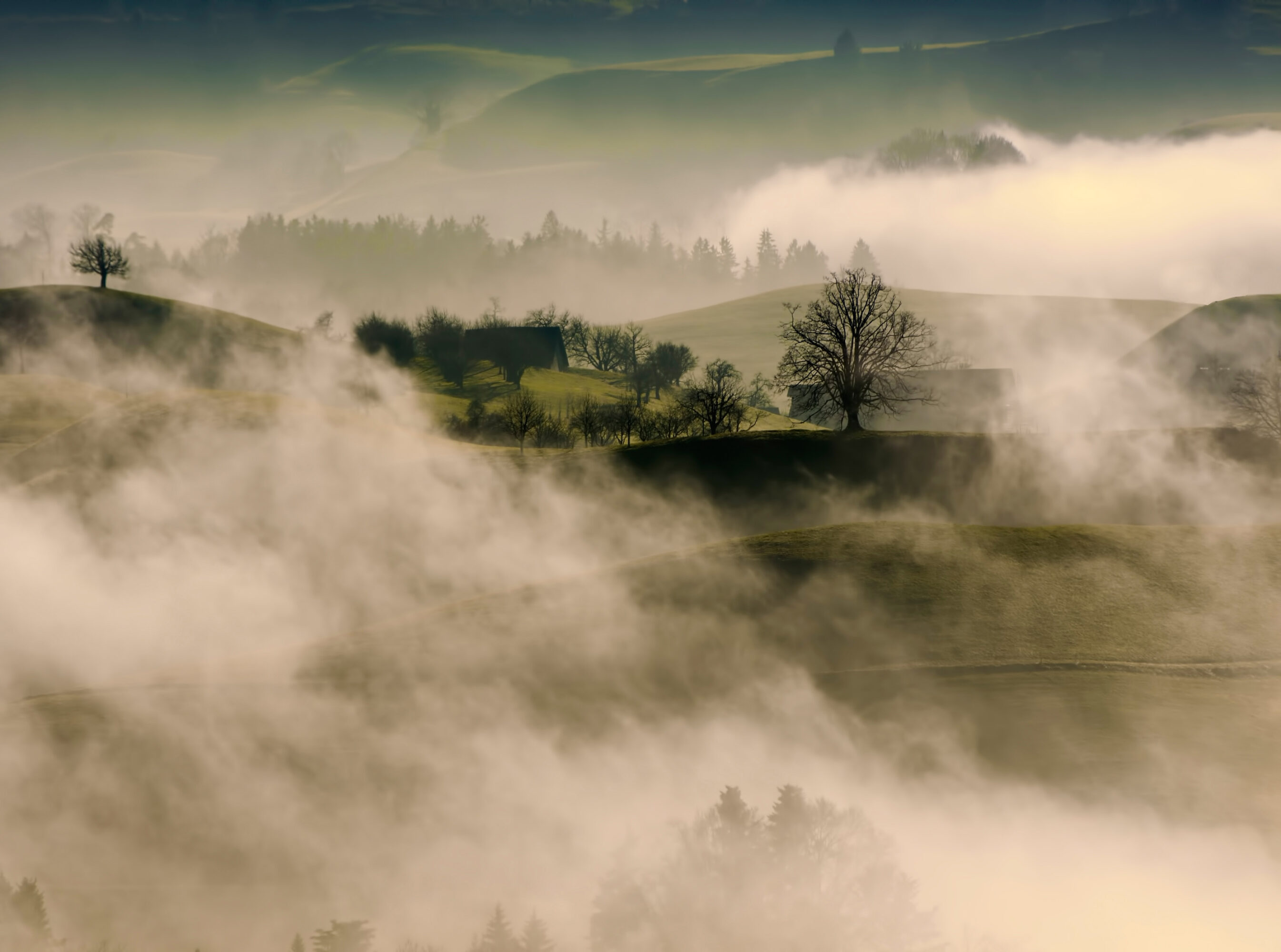 Felder im Nebel