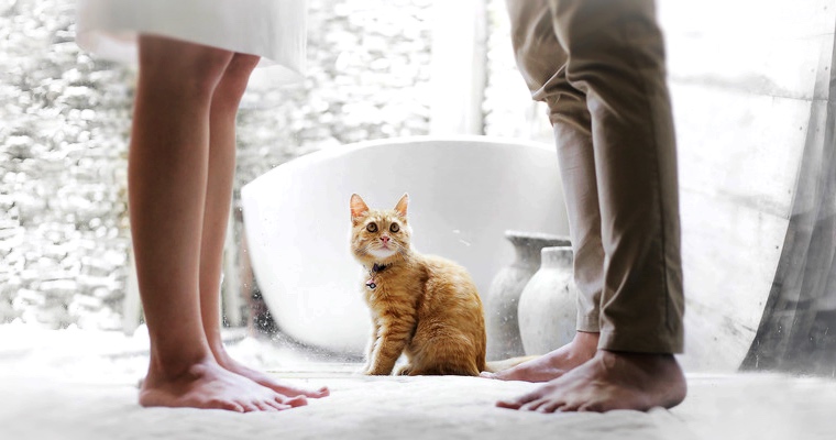 Einsamkeit Paar Katze