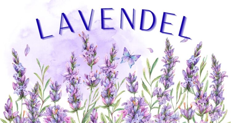 Wie Lavendel entspannt und heilt