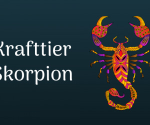 Skorpion als Krafttier