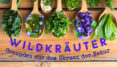 gesunde Wildkraeuter
