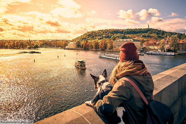 Urlaub mit Hund