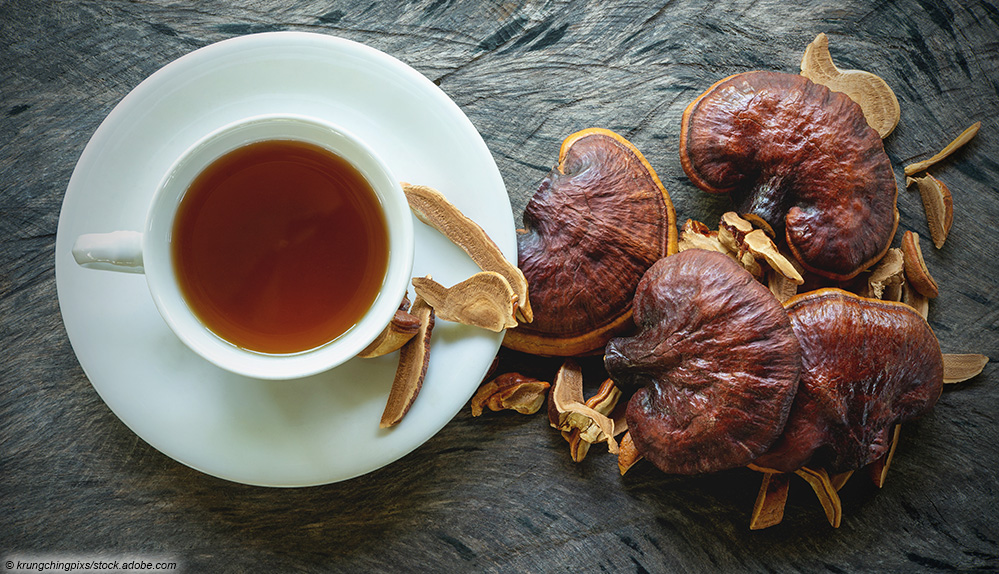 Pilz Reishi Tee
