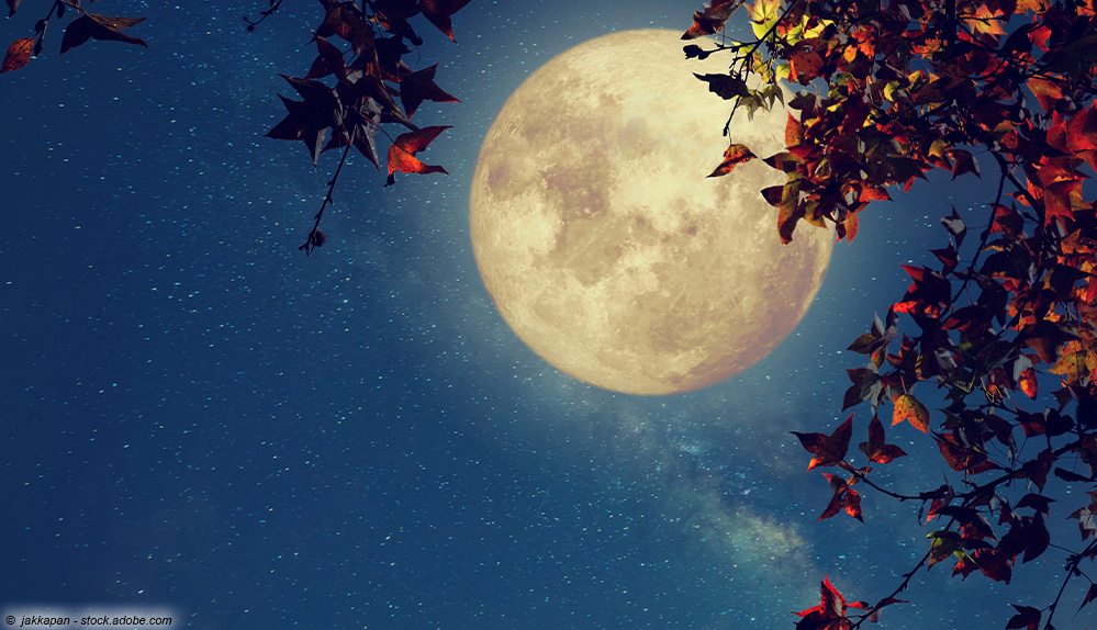 Mond