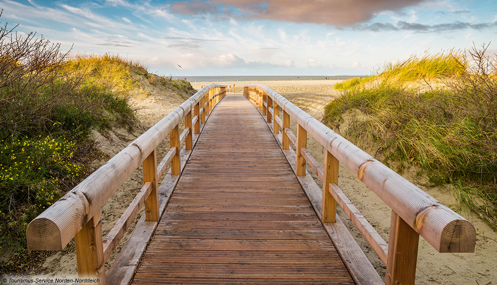 Nordsee Strand Deich