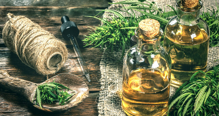 CBD Öl Cannabis