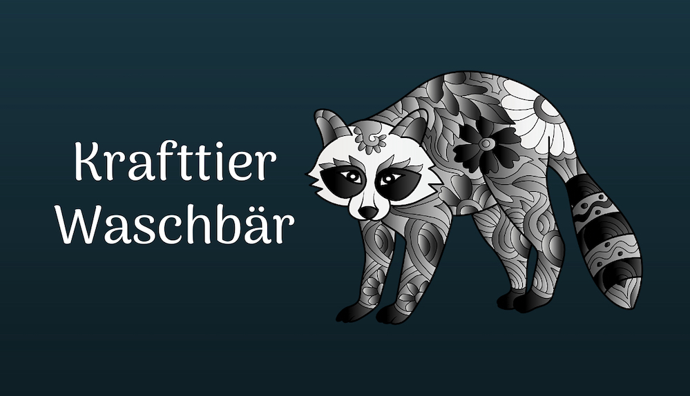 Waschbär als Krafttier