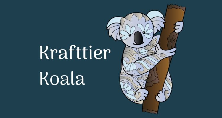 Der Koala als Krafttier