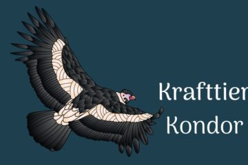 Der Kondor als Krafttier