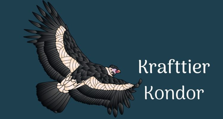 Der Kondor als Krafttier