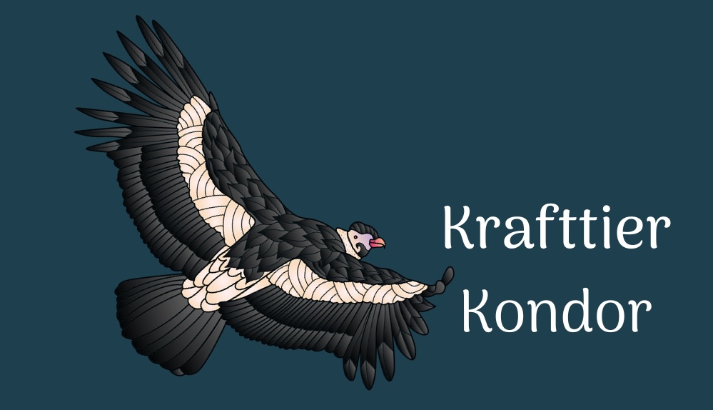 Der Kondor als Krafttier