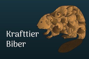 Biber als Krafttier
