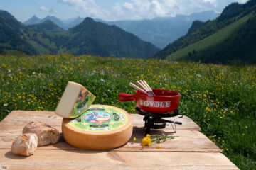 Käse auf der Alm