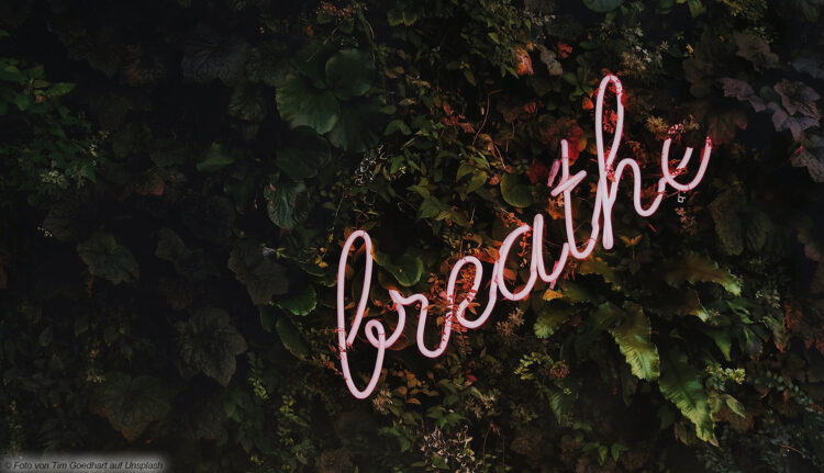 Atmen breath Pflanzen