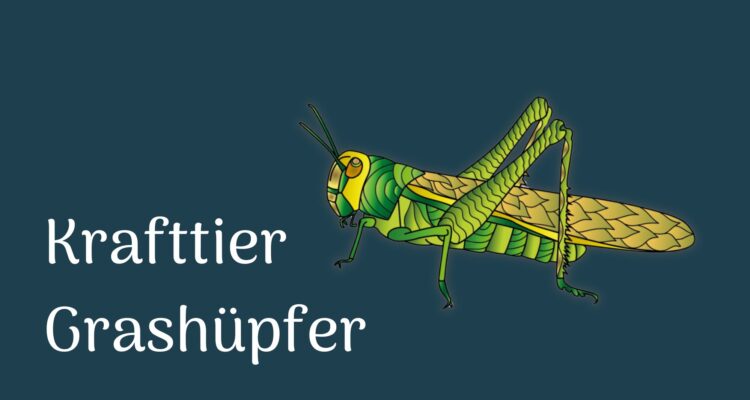 Krafttier Grashüpfer