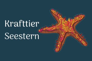 Krafttier Seestern