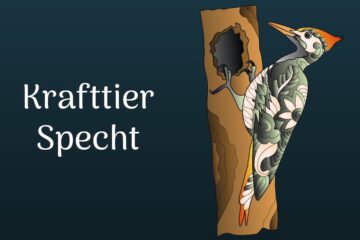 der Specht als Krafttier