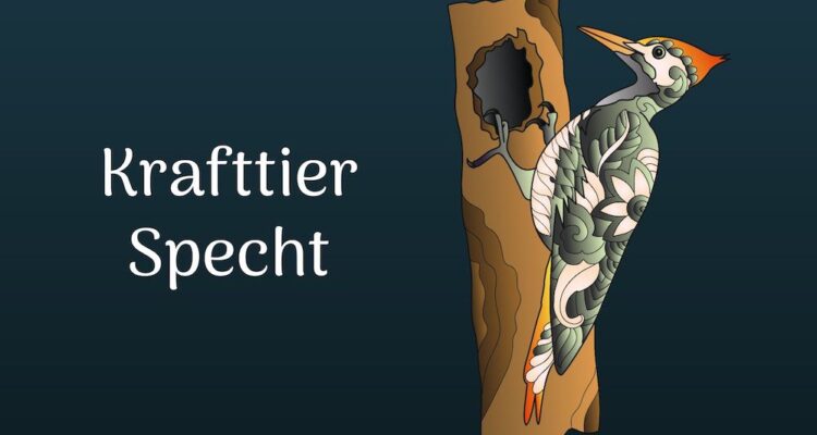 der Specht als Krafttier