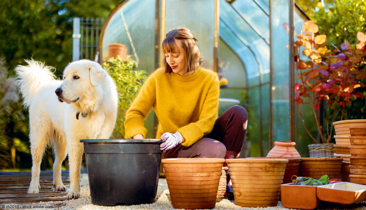Frau gärtnert mit Hund