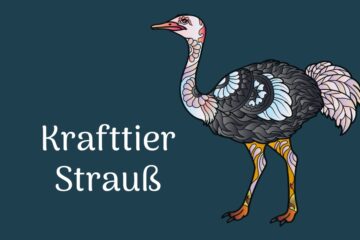 Krafttier Strauss - Achtsamkeit, Standfestigkeit, Selbstschutz