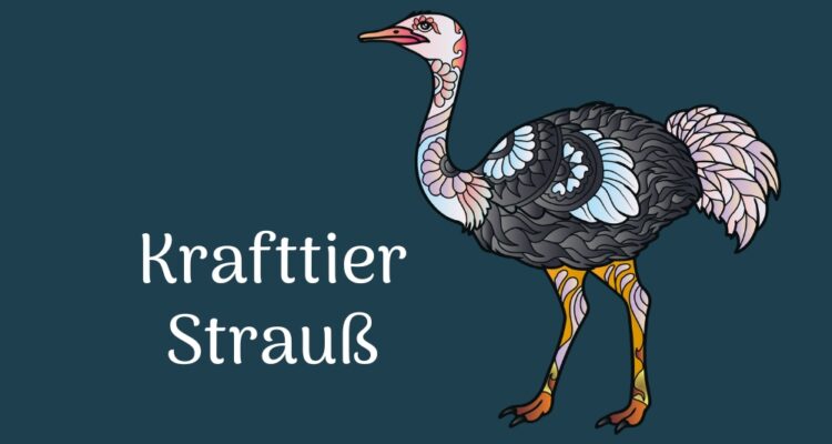 Krafttier Strauss - Achtsamkeit, Standfestigkeit, Selbstschutz