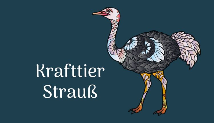 Krafttier Strauss - Achtsamkeit, Standfestigkeit, Selbstschutz