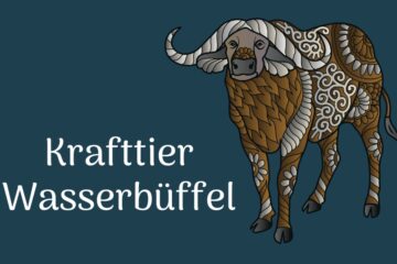 Krafttier Wasserb&uuml;ffel - Stabilit&auml;t - F&uuml;lle - Durchsetzungskraft