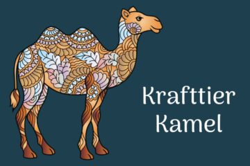 Krafttier Kamel - Durchhalteverm&ouml;gen, Vertrauen, Gelassenheit