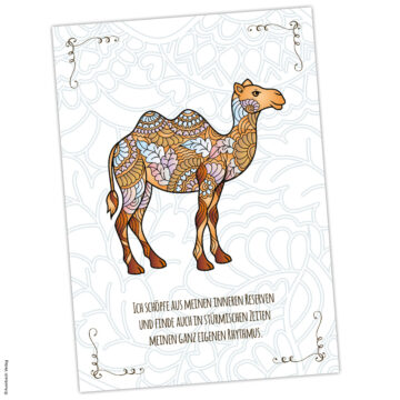 Krafttier-Postkarte Kamel