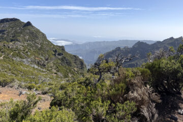 &lrm;⁨Madeira Natural Park⁩, ⁨Santana⁩, ⁨Madeira⁩, ⁨Portugal⁩