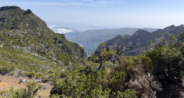 &lrm;⁨Madeira Natural Park⁩, ⁨Santana⁩, ⁨Madeira⁩, ⁨Portugal⁩